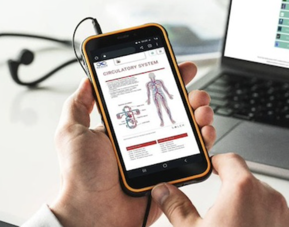 The AO Scan app displaying a circulatory system analysis on a smartphone