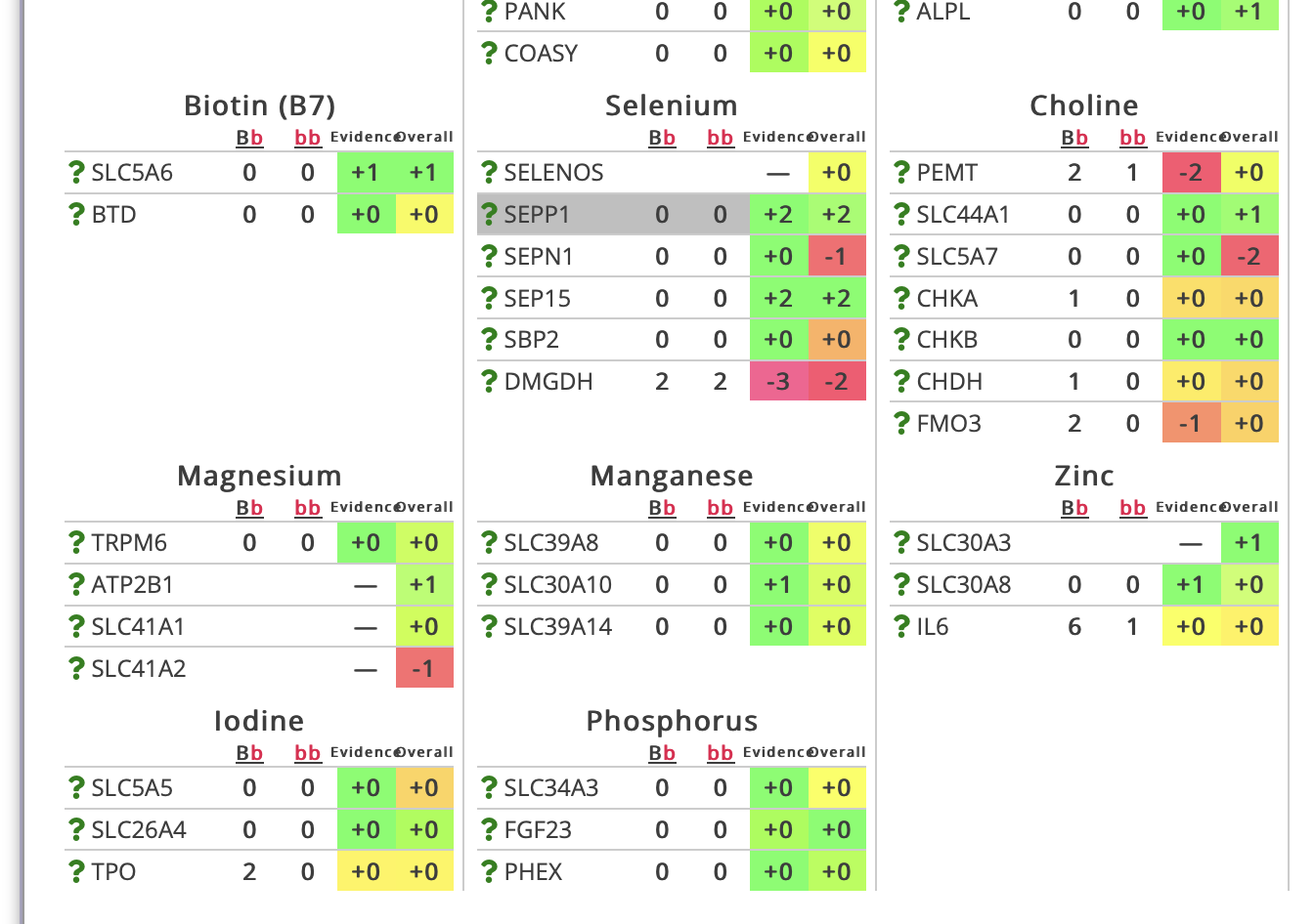 Sample Functional Genomics report table scoring gene variants for biotin, selenium, choline, magnesium, manganese, zinc, iodine, and phosphorus